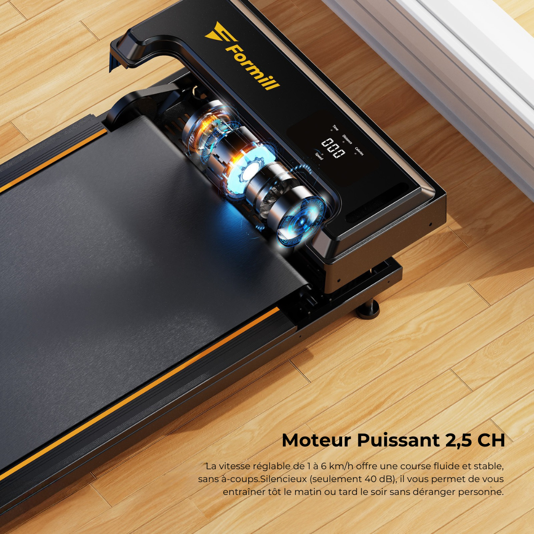 Tapis de course pliable, moteur 2,5 CV, vitesse 1–6 km/h, FORMILL FT21